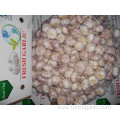 Fresh New Crop Normal White Garlic 5.0cm